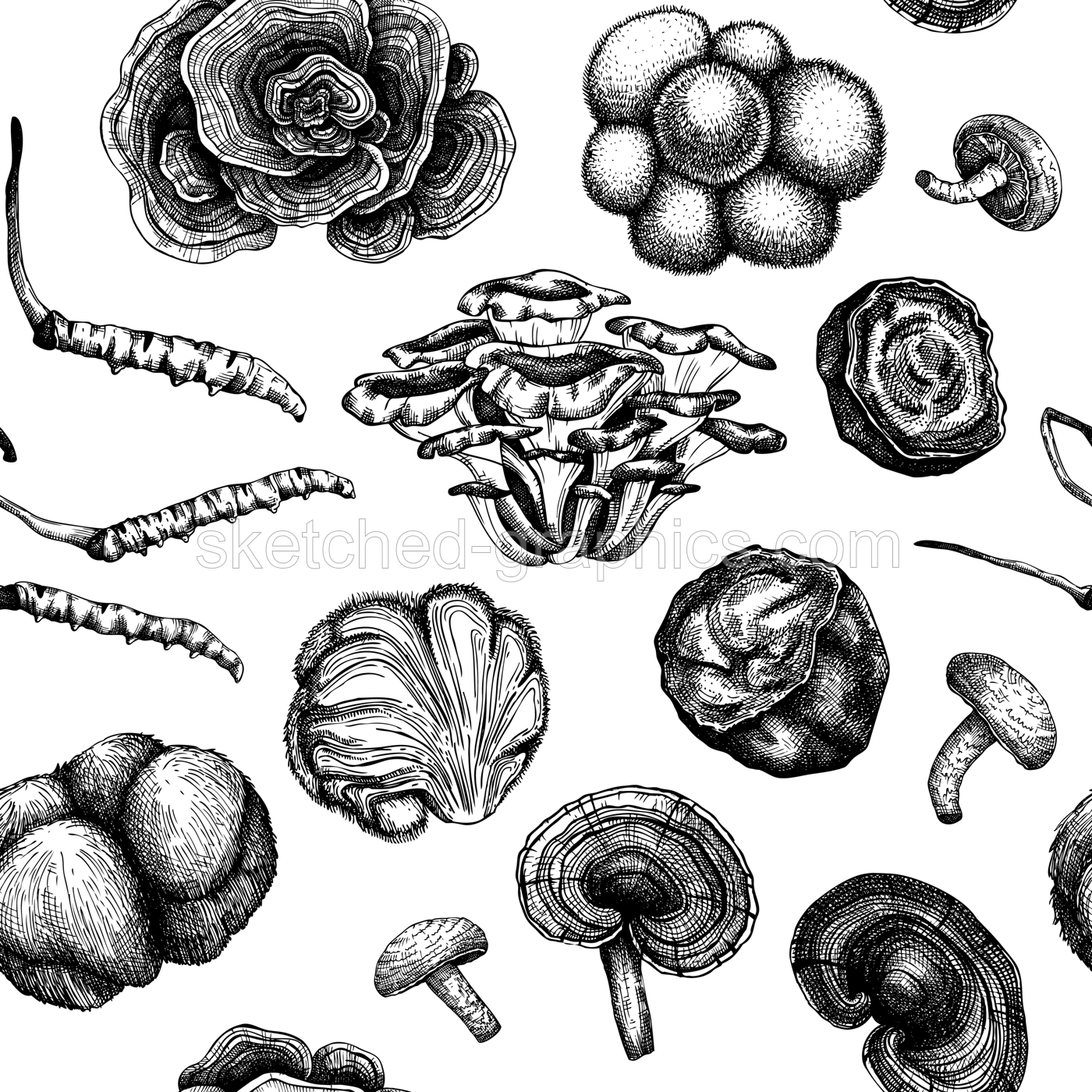 Medicinal mushroom background. Hand sketched adaptogenic plants seamless pattern. Perfect for recipe, menu, label, packaging. Hand sketched mushroom outlines. Botanical backdrop  in vintage style. Illustration